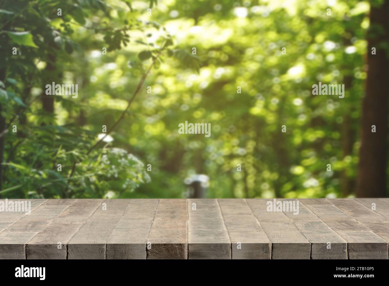 Blank or empty rustic wooden platform with forest or greenery ...
