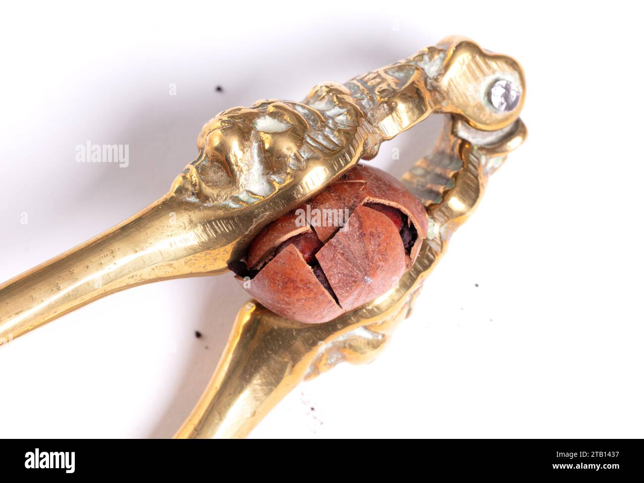Large nut with vintage nutcracker, isolated on white Stock Photo