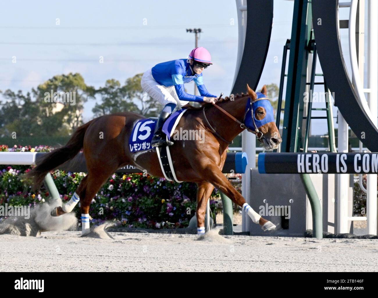 Lemon Pop, ridden by Ryusei Sakai, leads the field wiretowire to win the Champions Cup Grade 1