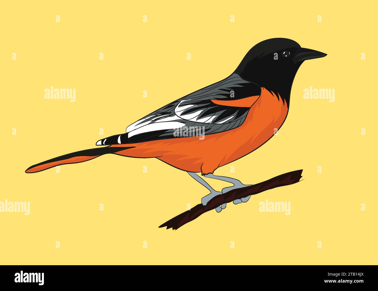 North bird Stock Vector Images - Alamy