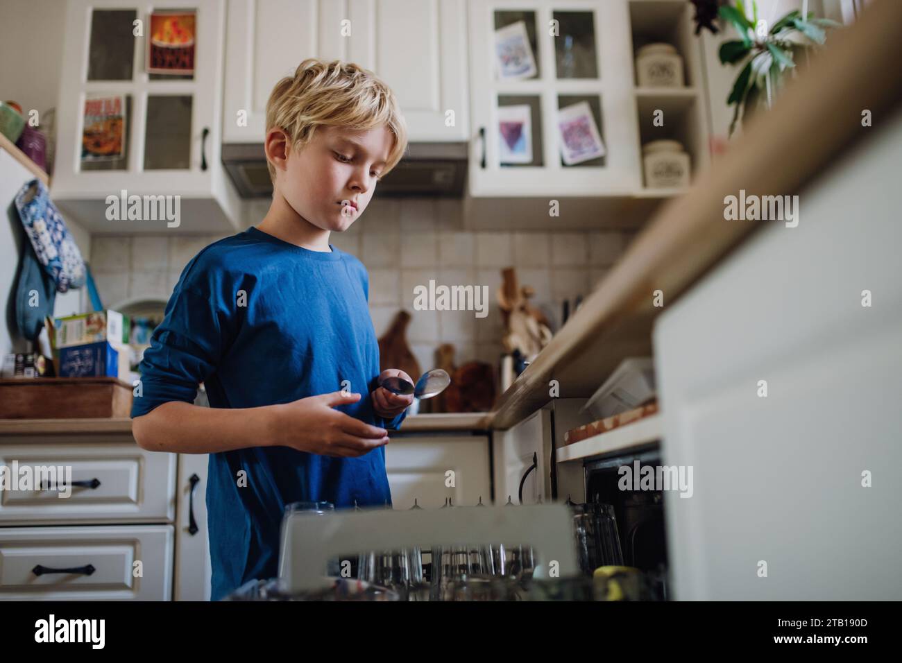 Boy helping to load dishwasher after breakfast. Cleaning the kitchen ...