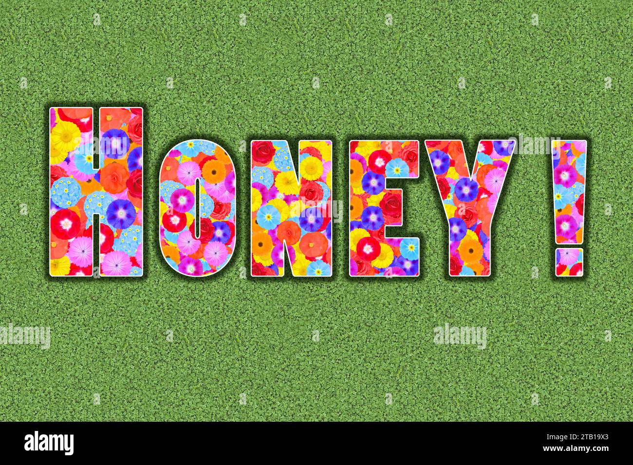 pet name Honey ! written with flowers, Illustration, flowers pattern