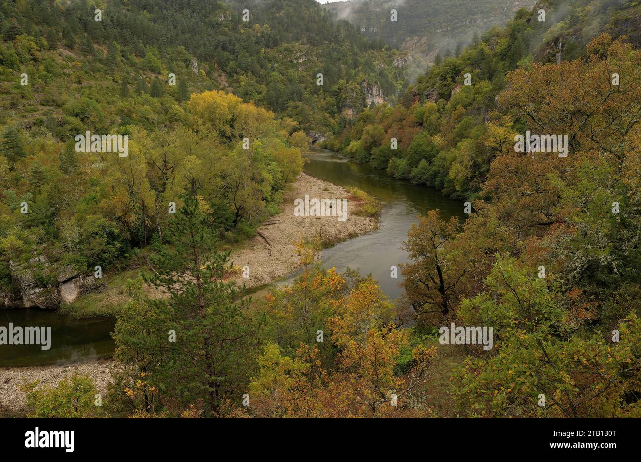 The Gorges du Tarn above Ste Enimie in autumn. France. Gorges du Tarn, Gòrjas de Tarn,   Tarn gorge, Causse Méjean, Causse de Sauveterre, Lozère, Stock Photo