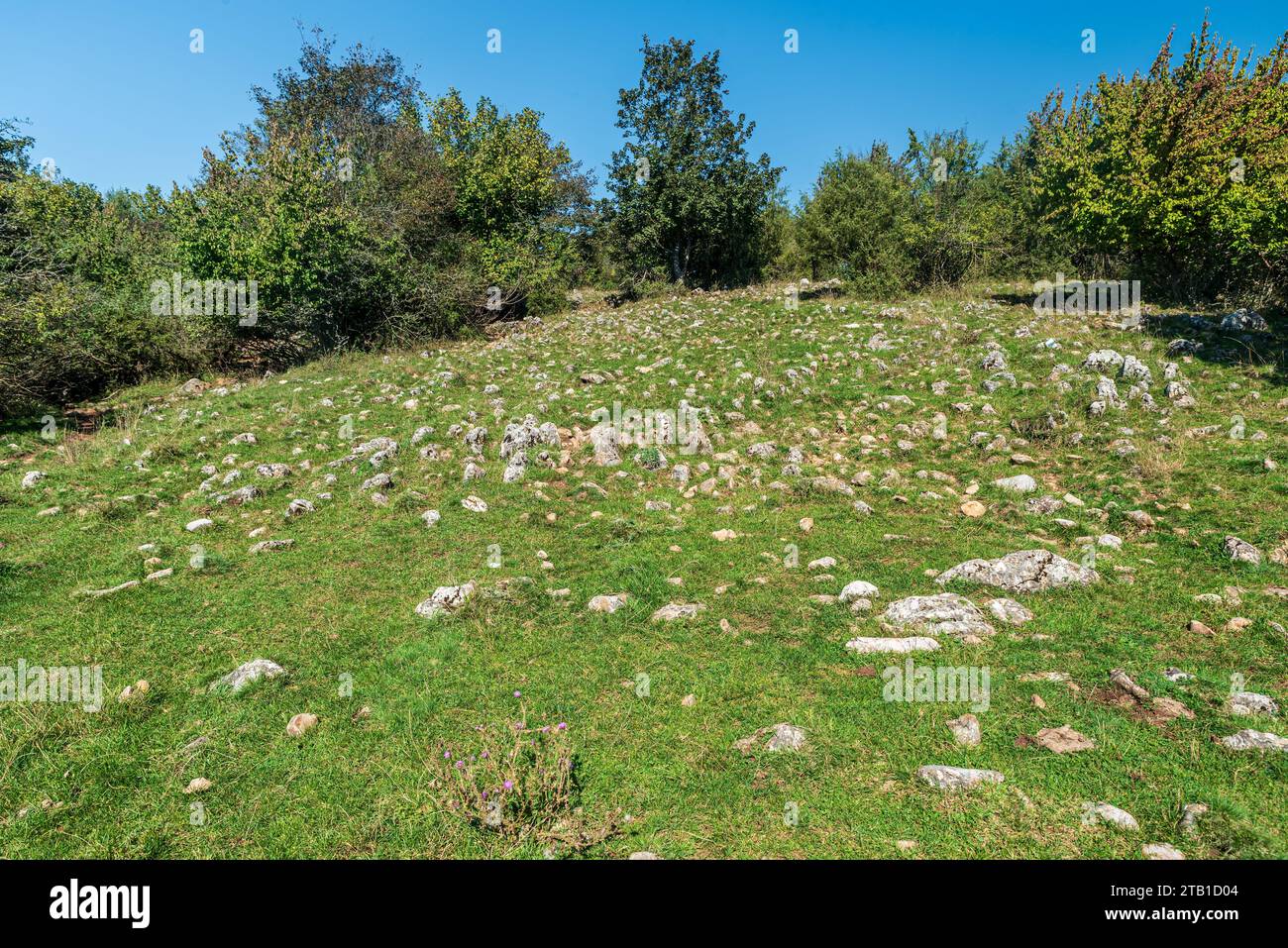Karst landscape with limestone pavement on Silicka planina in Slovensky kras national park in Slovakia Stock Photo