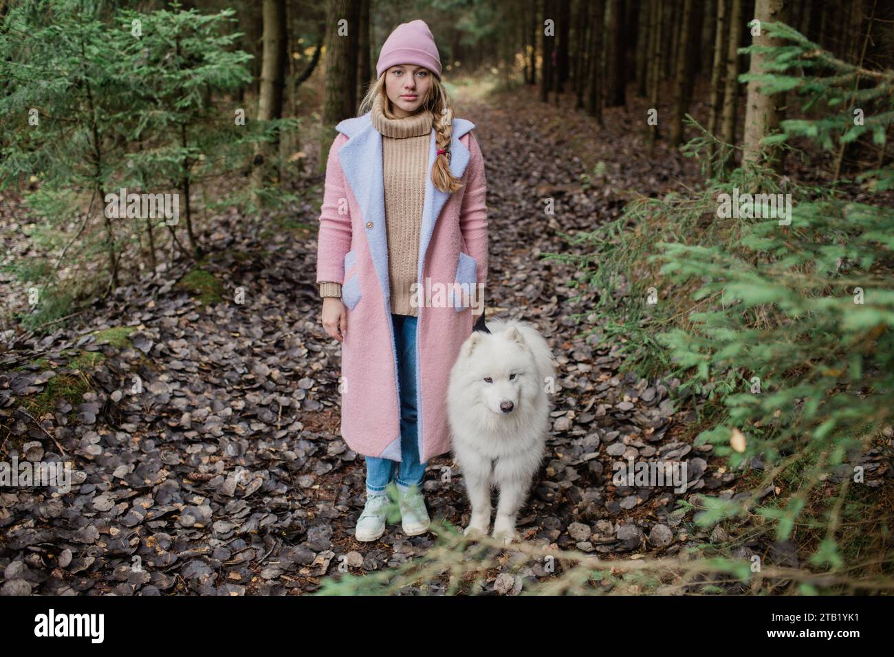 young girl walks with a white fluffy Samoyed dog in nature Stock Photo ...