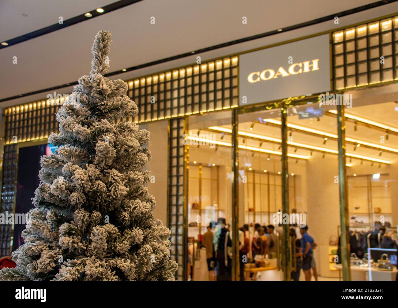 The white decorated pine tree in front of the Coach shop at the Exchange TRX mall at Kuala Lumpur, Malaysia Stock Photo