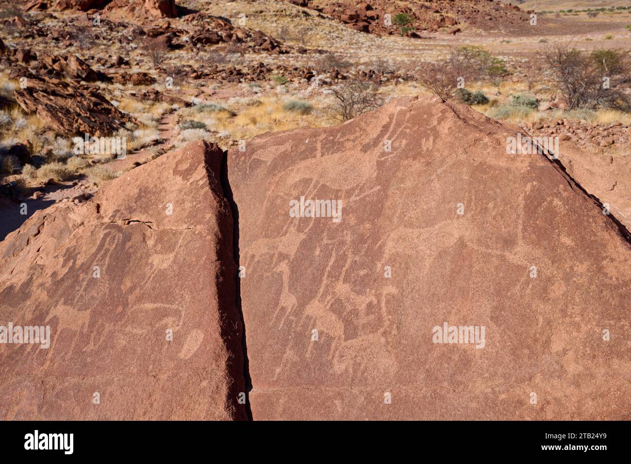 rock engravings of Twyfelfontein, Damaraland, Namibia, Africa Stock Photo