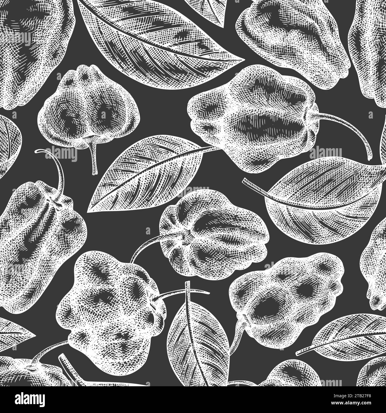 Hand drawn sketch style scotch bonnet pepper seamless pattern. Organic