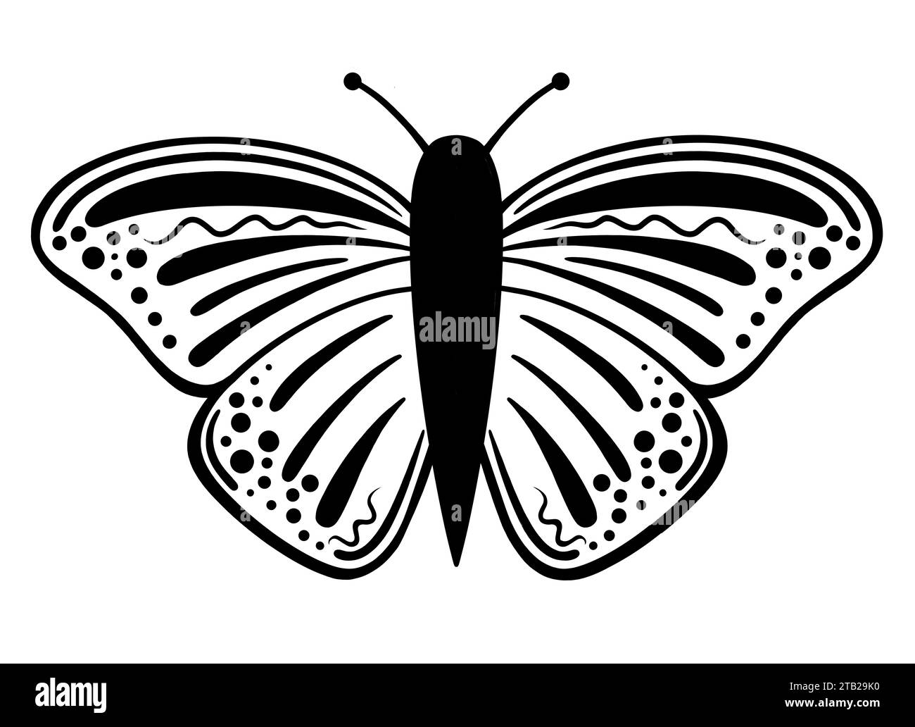 Butter fly Black and White Stock Photos & Images - Alamy