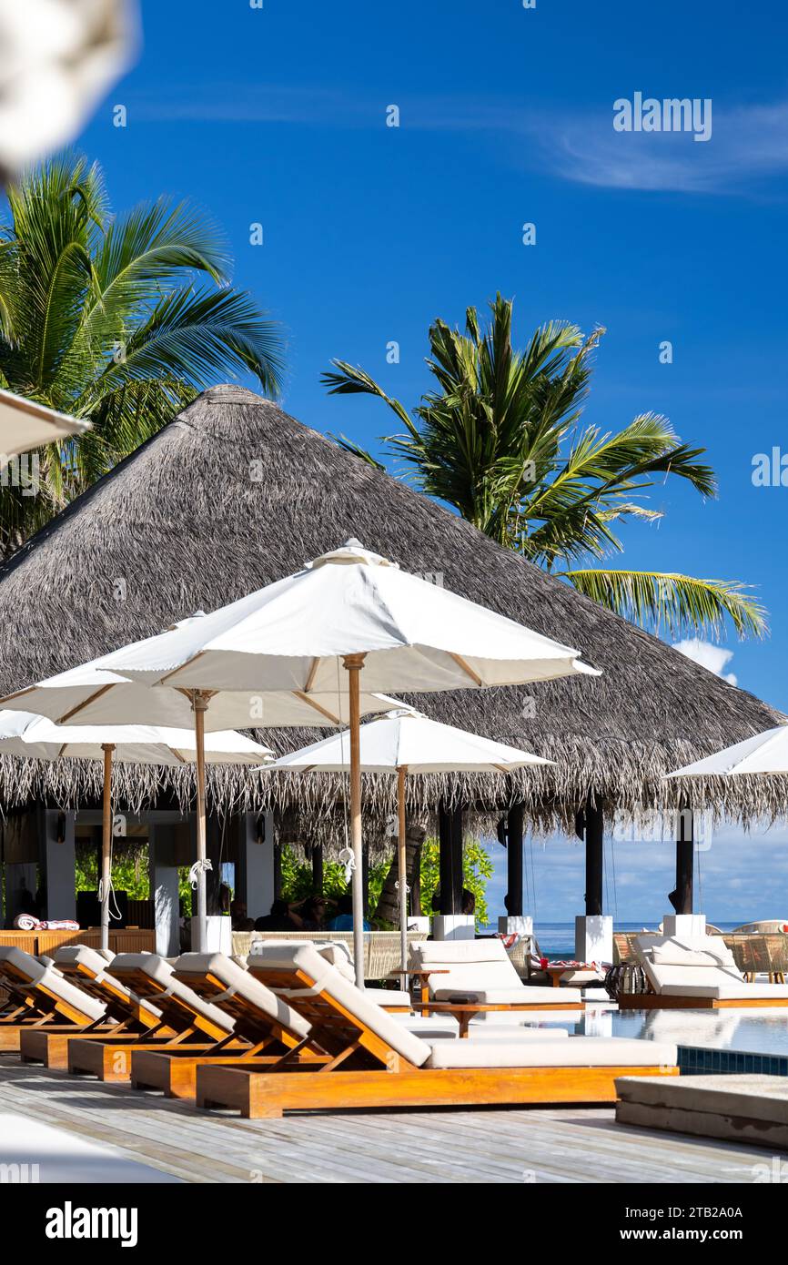 vela hotel maldives