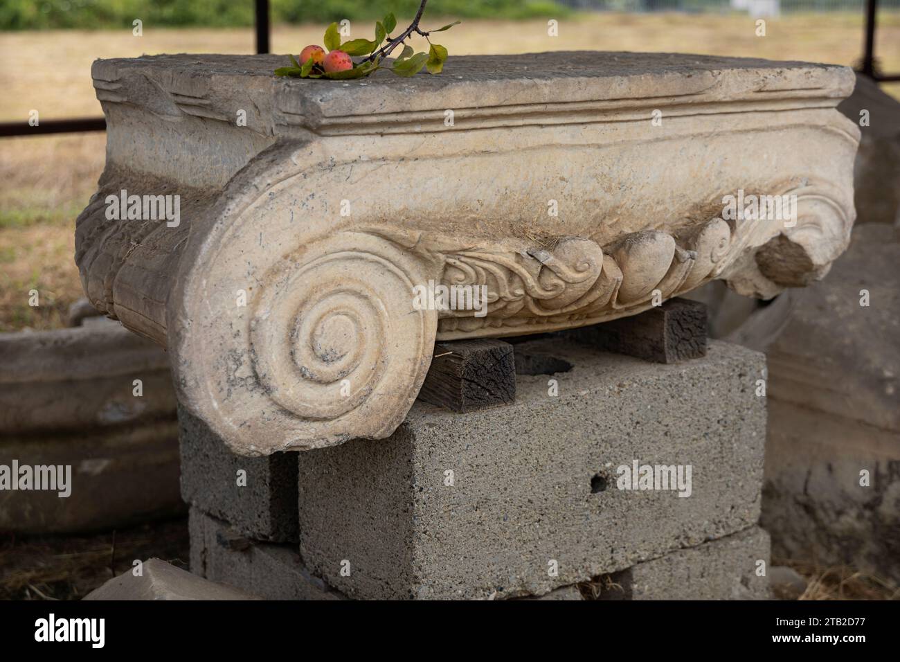 Luni Archaeological Site: Column Capital from Luni Etruscan settlement (became a Roman colony in 177 BC). Excavations near La Spezia, Liguria, Italy. Stock Photo