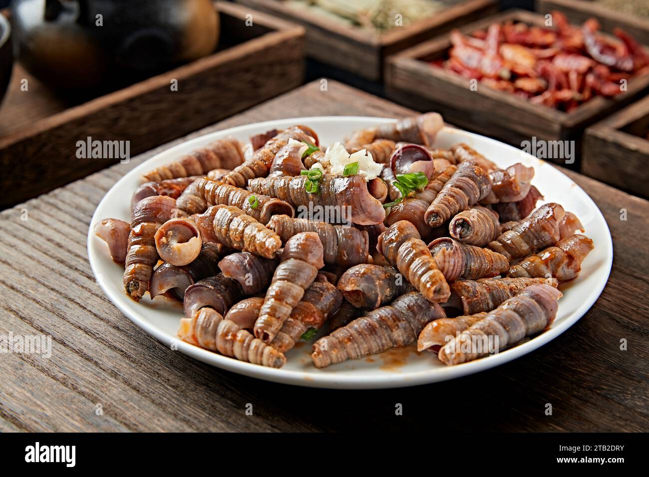 Sautéed(Stir-fried) snails or Whelks（tower snail,turritella mollusk） Stock Photo