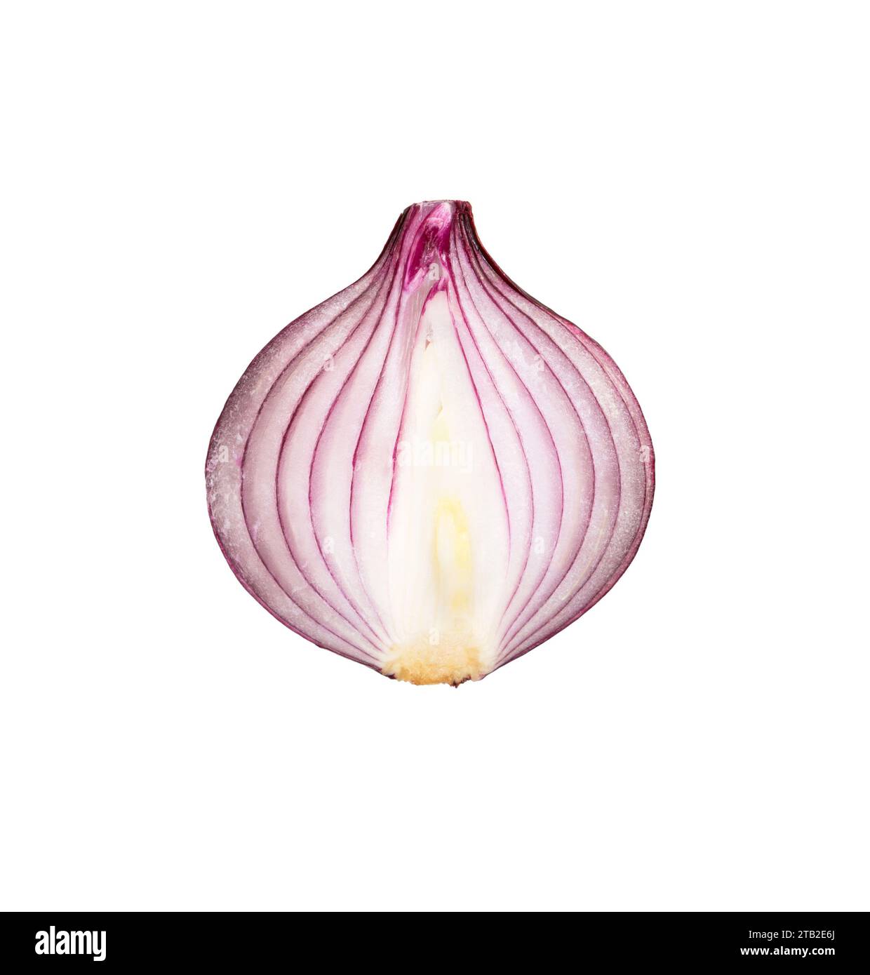 Red sliced onion close-up, isolated on white background Stock Photo - Alamy