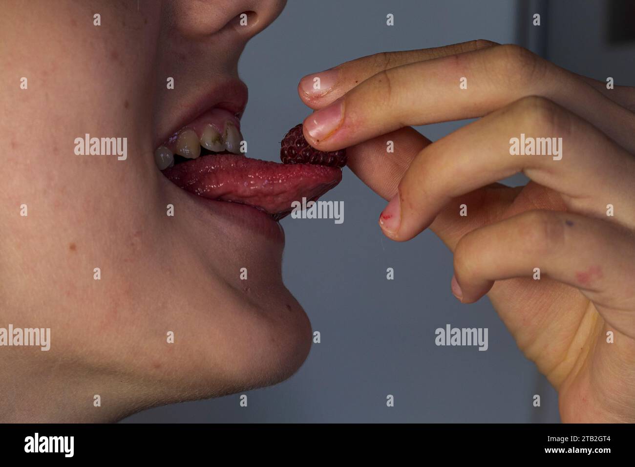 Tongue Raspberry teenage girl puts red raspberries on her tongue with her fingers to eat ...