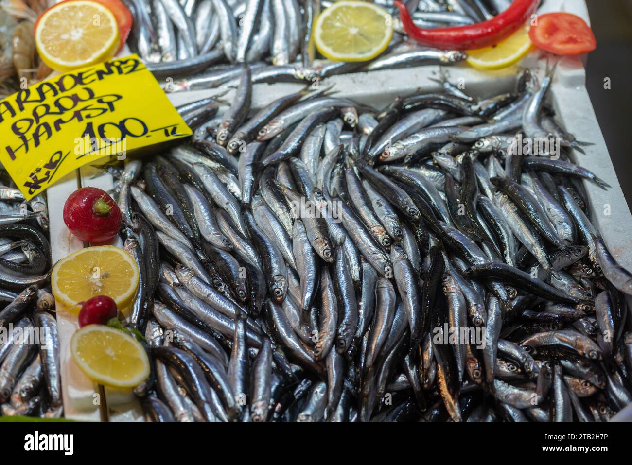 Black sea hamsi hi-res stock photography and images - Alamy