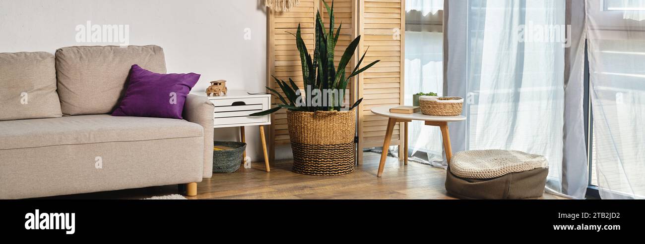 spacious living room with modern furniture, large windows and green potted plant, horizontal banner Stock Photo