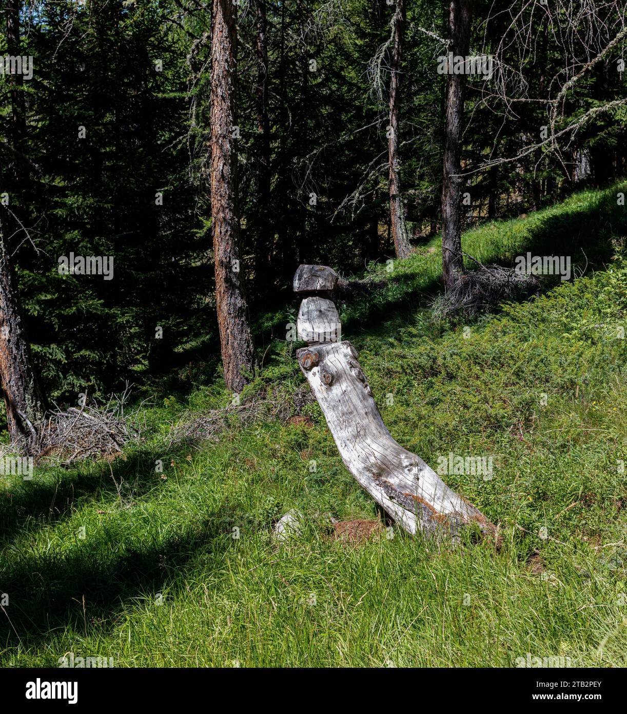 Dead larch trunk carved in the shape of a mushroom (Ayas Valley, Aosta Valley, Italy). Stock Photo