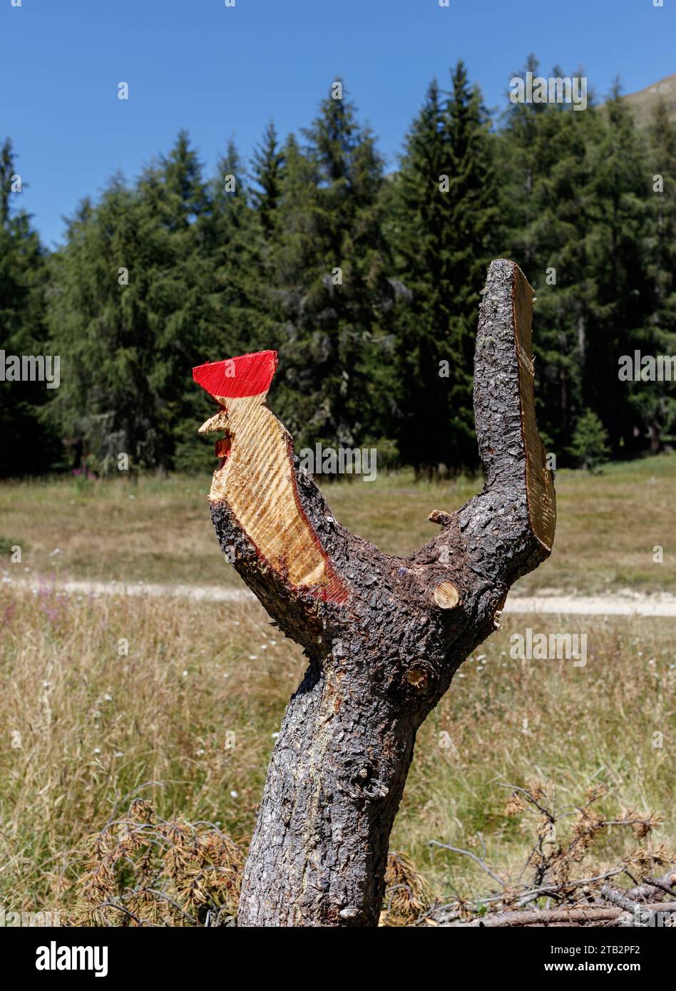 Dead larch trunk carved in the shape of a rooster (Ayas Valley, Aosta Valley, Italy). Stock Photo
