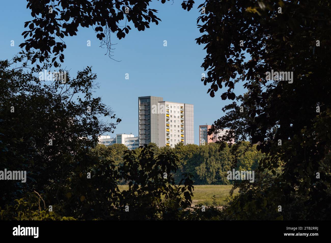 Residential tower buildings in Dresden Johannstadt district. The tall houses provide many flats and apartments for people with a low income. Stock Photo