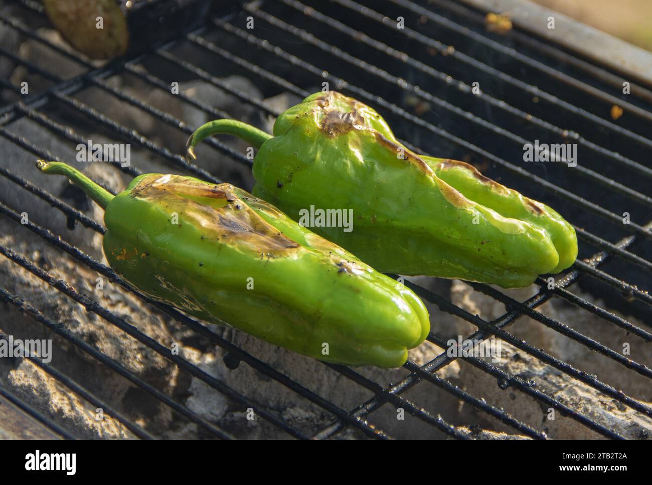 roasted green pepper in outdoor Stock Photo Alamy