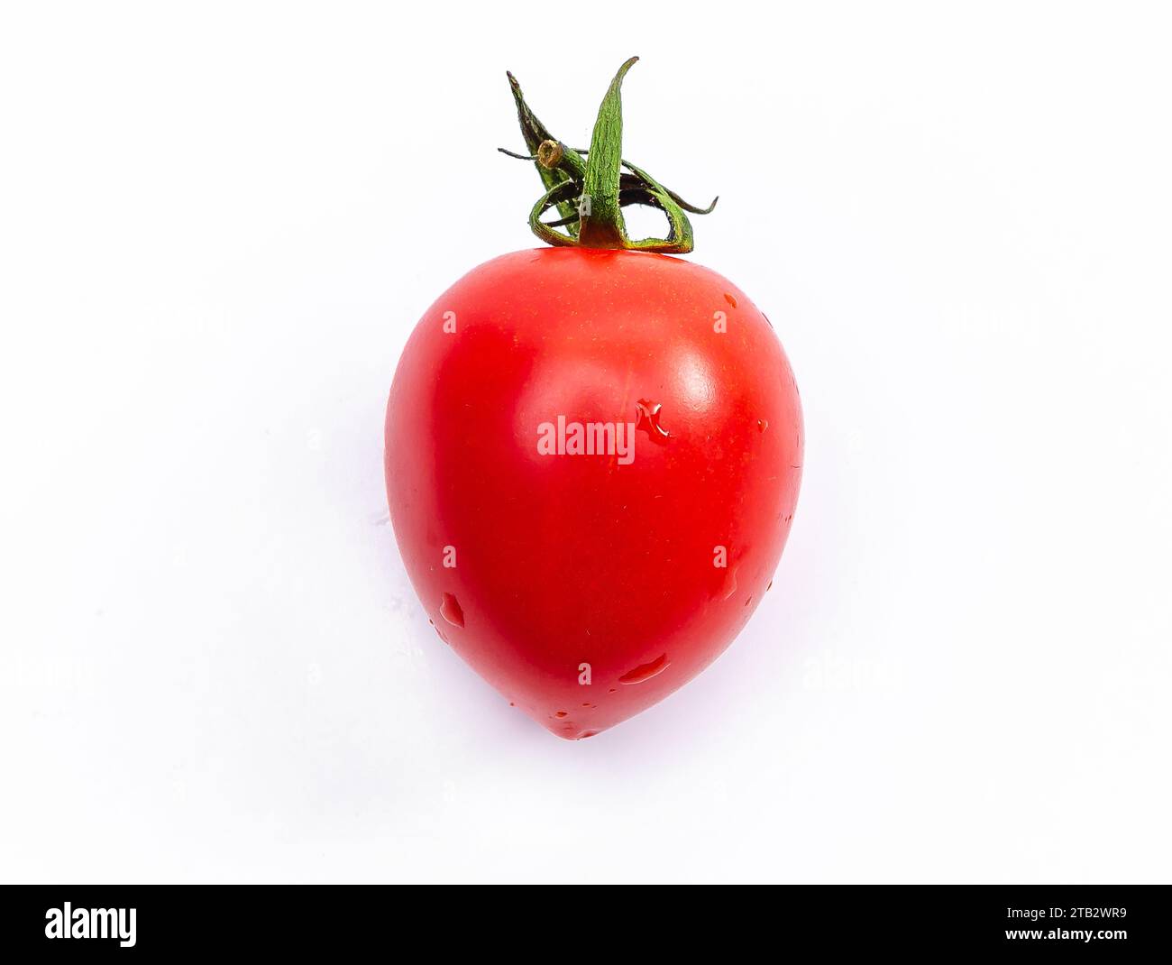 Red fresh tomato with green leaf and water drops. White background ...