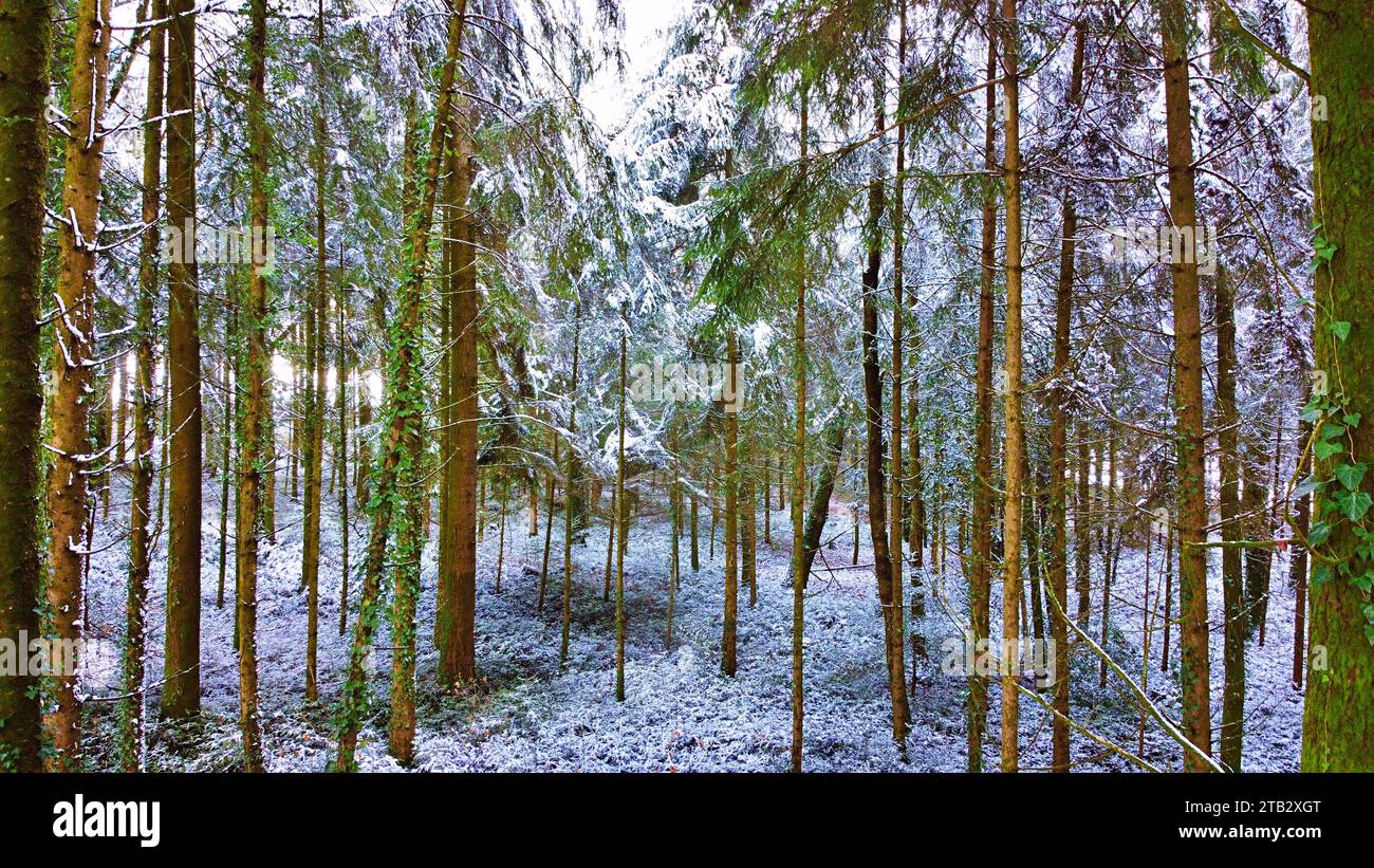 Winter Snowstorm Perigord National Forest Aerial Views Dordogne France ...