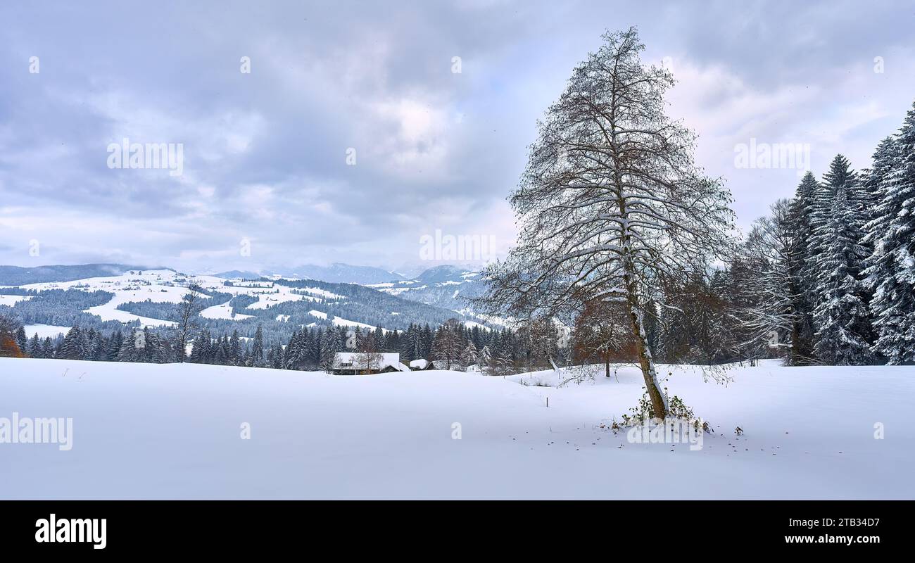 Bregenzer wald winter hi-res stock photography and images - Alamy