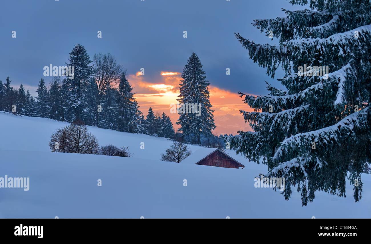 winter landscape with fresh fallen powder snow in the Bregenzer Wald Mountains in Vorarlberg, Austria Stock Photo