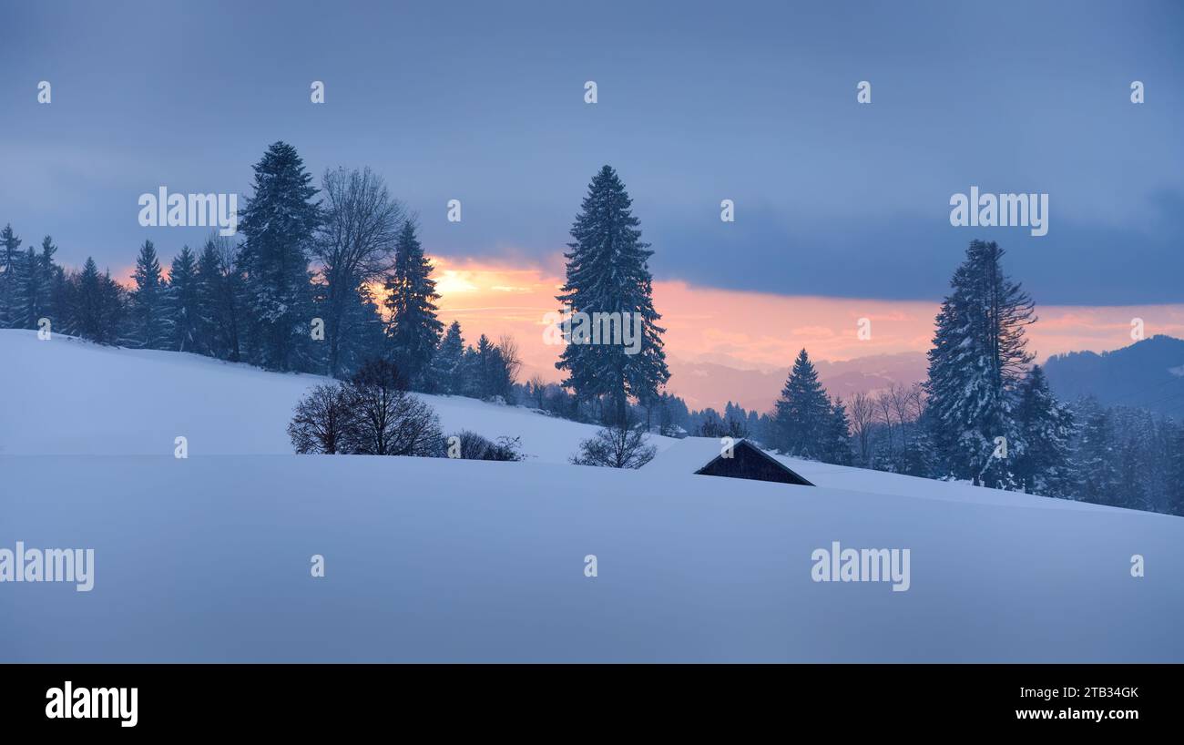 winter landscape with fresh fallen powder snow in the Bregenzer Wald Mountains in Vorarlberg, Austria Stock Photo