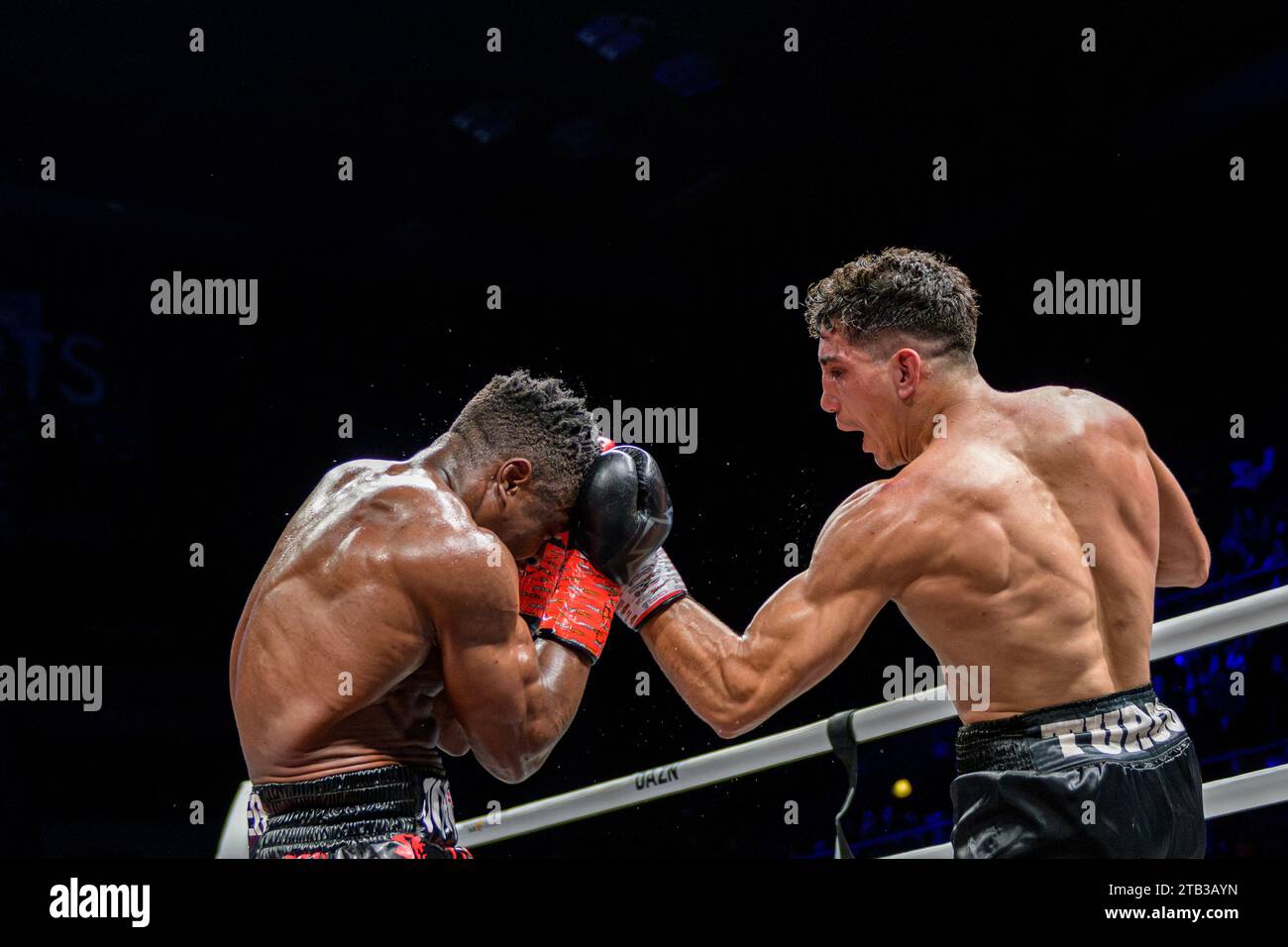 Boxing wbo belt hi-res stock photography and images - Alamy