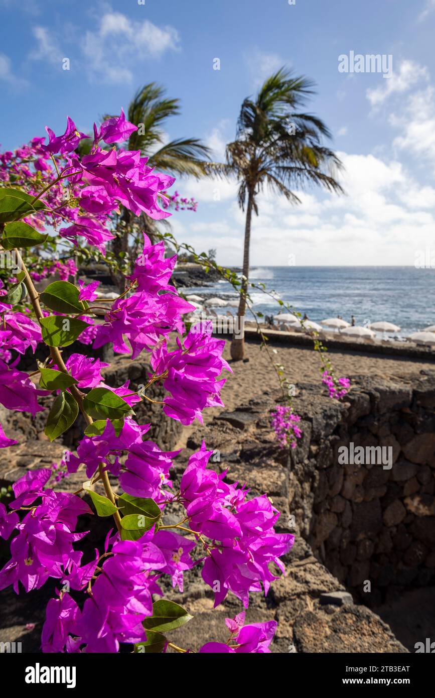 Views on coast of Costa Teguise, Lanzarote, Canary Islands, Spain. Stock Photo