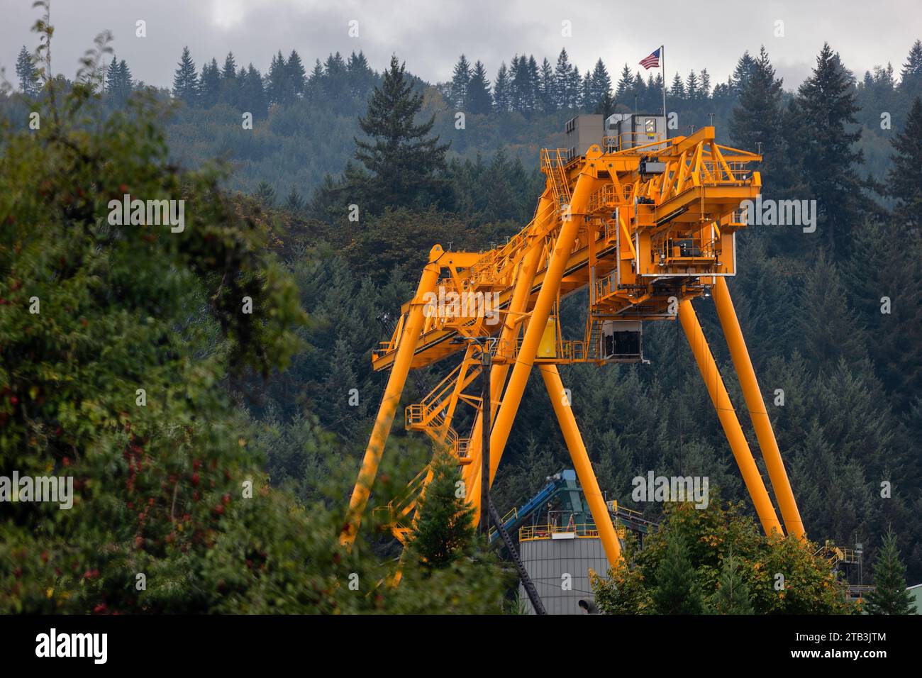 Mill City, Oregon, USA October 22, 2023 A giant log stacker looms