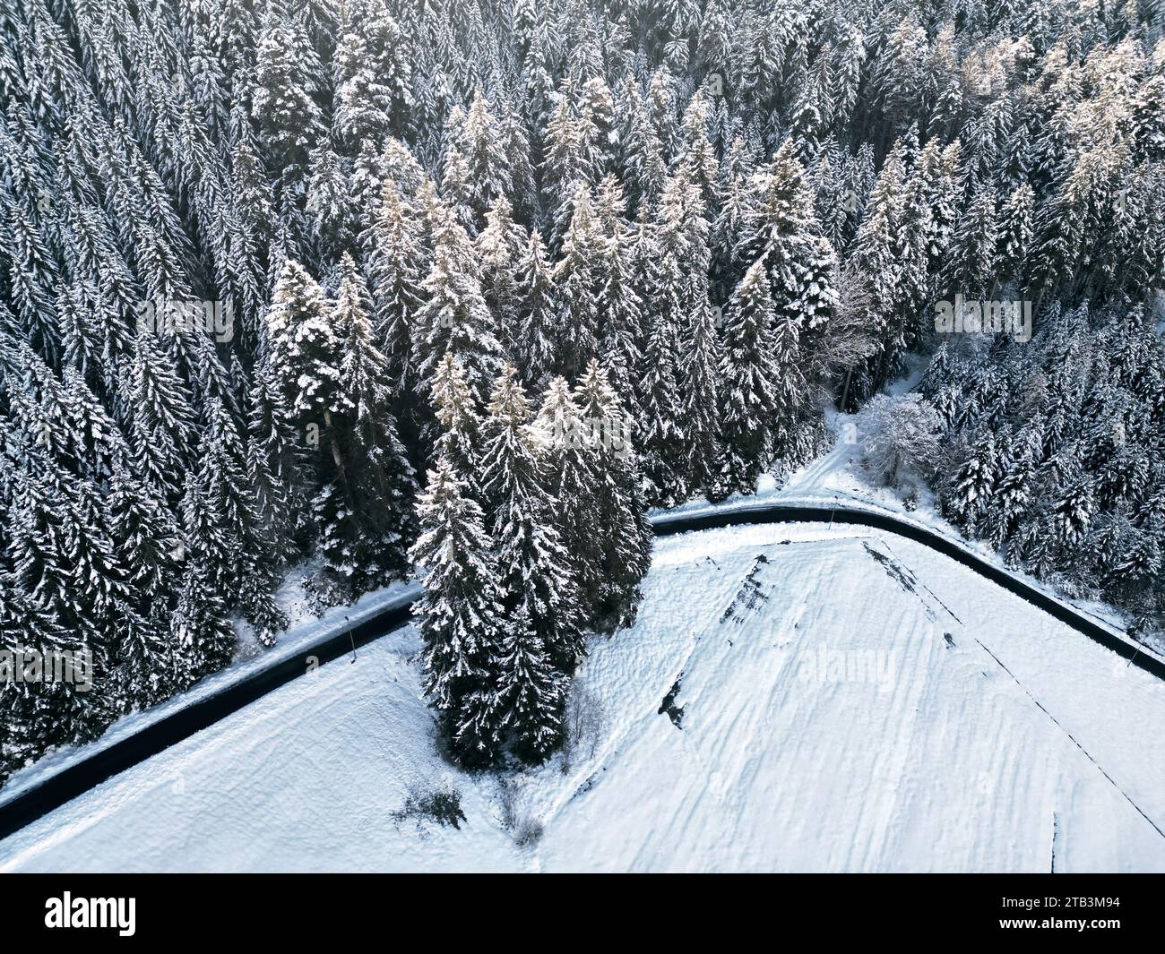 Curvy winter road in snow covered mountain forest, Black Forest, Germany Stock Photo