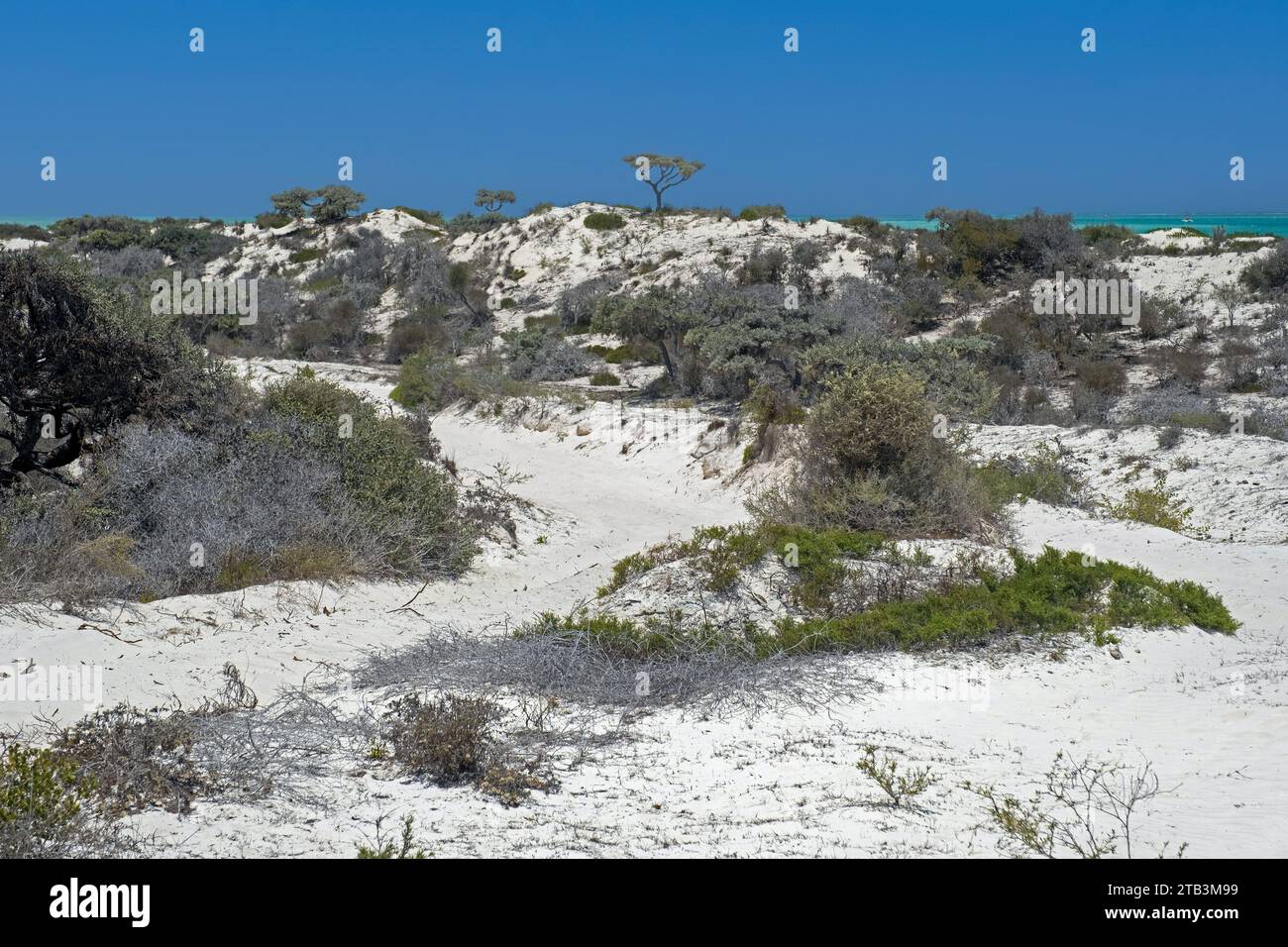 White sand dunes along the Malagasy Indian Ocean west coast, Atsimo-Andrefana Region, Madagascar, Africa Stock Photo