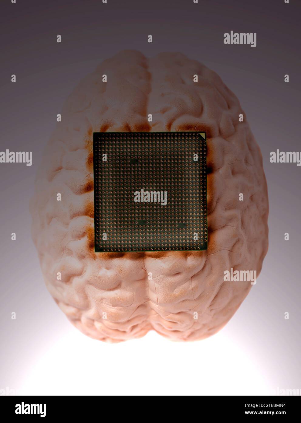 Computer Processor Vs Human Brain at Eden Disney blog