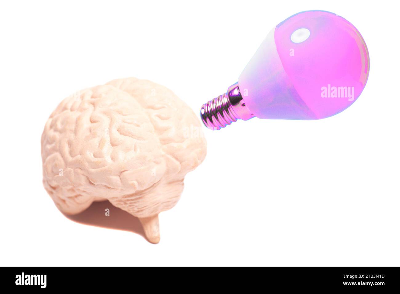 Human brain with light bulb Stock Photo Alamy
