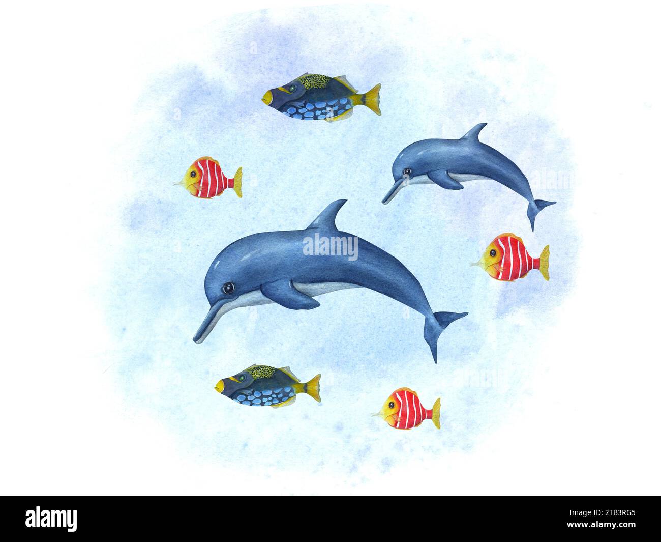 Cartoon swimming dolphins among small multicolor fishes. Porpoise, triggerfish. Sea composition on watercolor background. Hand drawn illustration Stock Photo