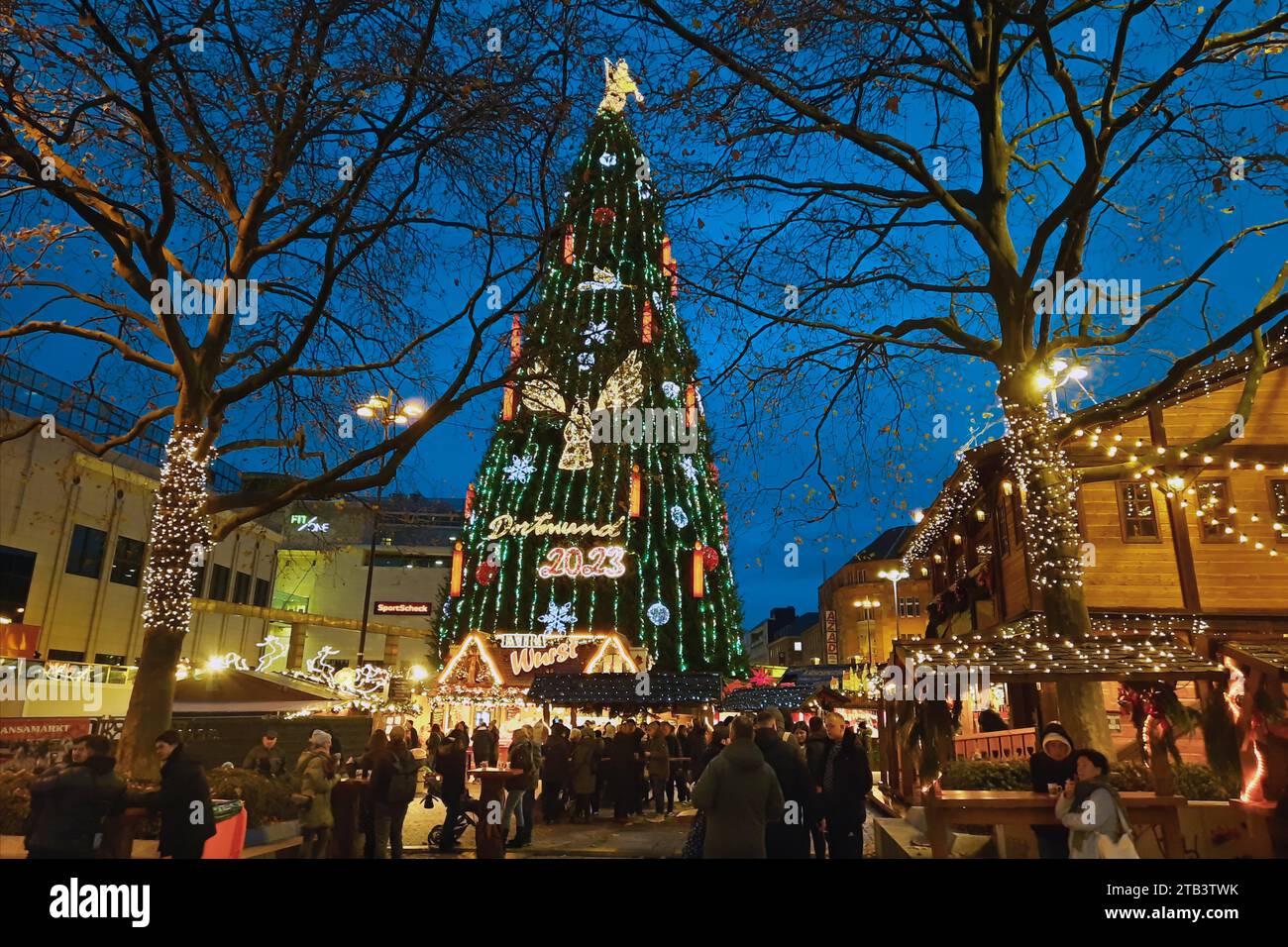 Dortmund/Germany, December 4th, 2023 - The supposedly tallest Christmas tree in the world at the Dortmund Christmas market. There are 1,400 spruce trees on a steel frame, illuminated with 48,000 LED lights and an angel on top Stock Photo