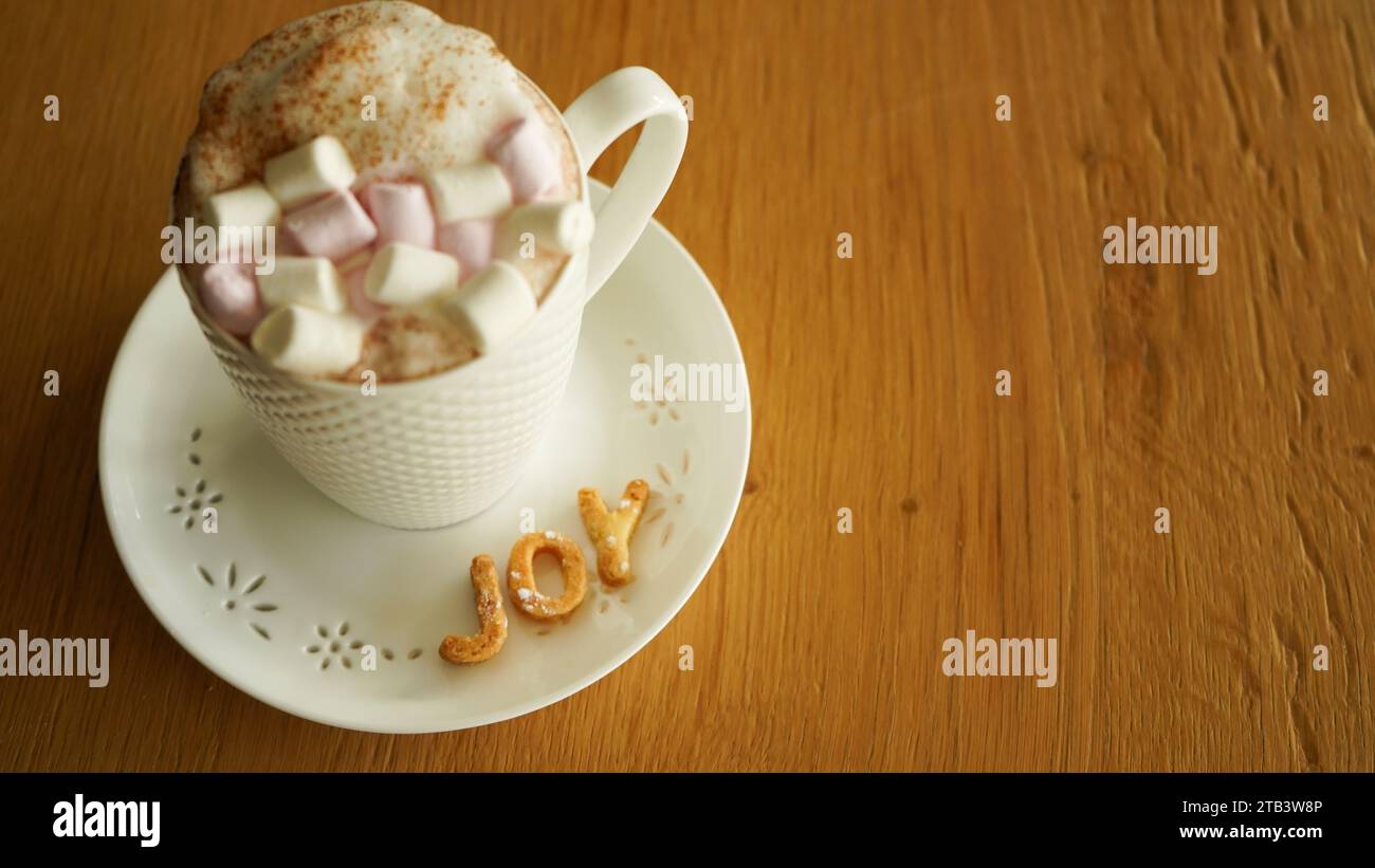 cup of hot chocolate with marshmallows on a saucer with cookies in the