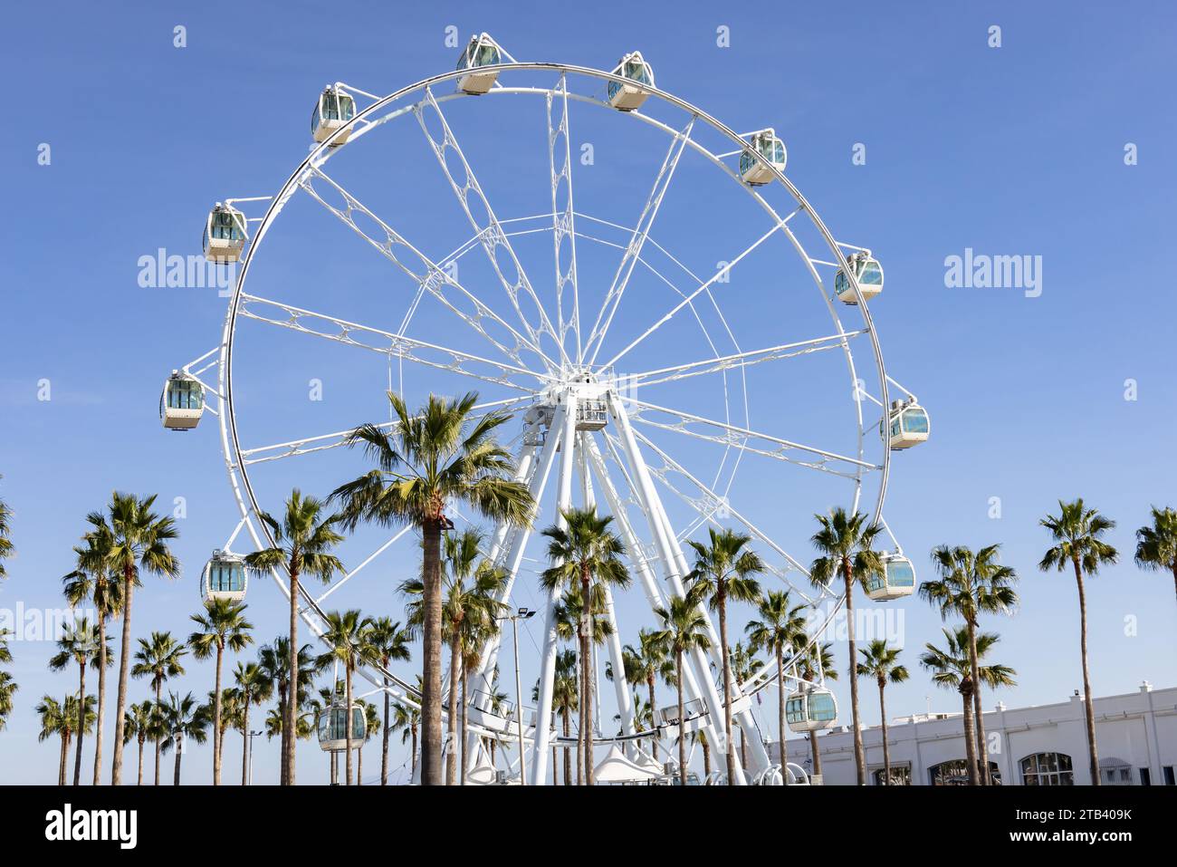 Benalmádena, Spain - November 25, 2023: Giant Ferris Wheel Mirador Princess, Panoramic viewpoint between palm trees in Puerto Marina, Benalmadena, Mal Stock Photo