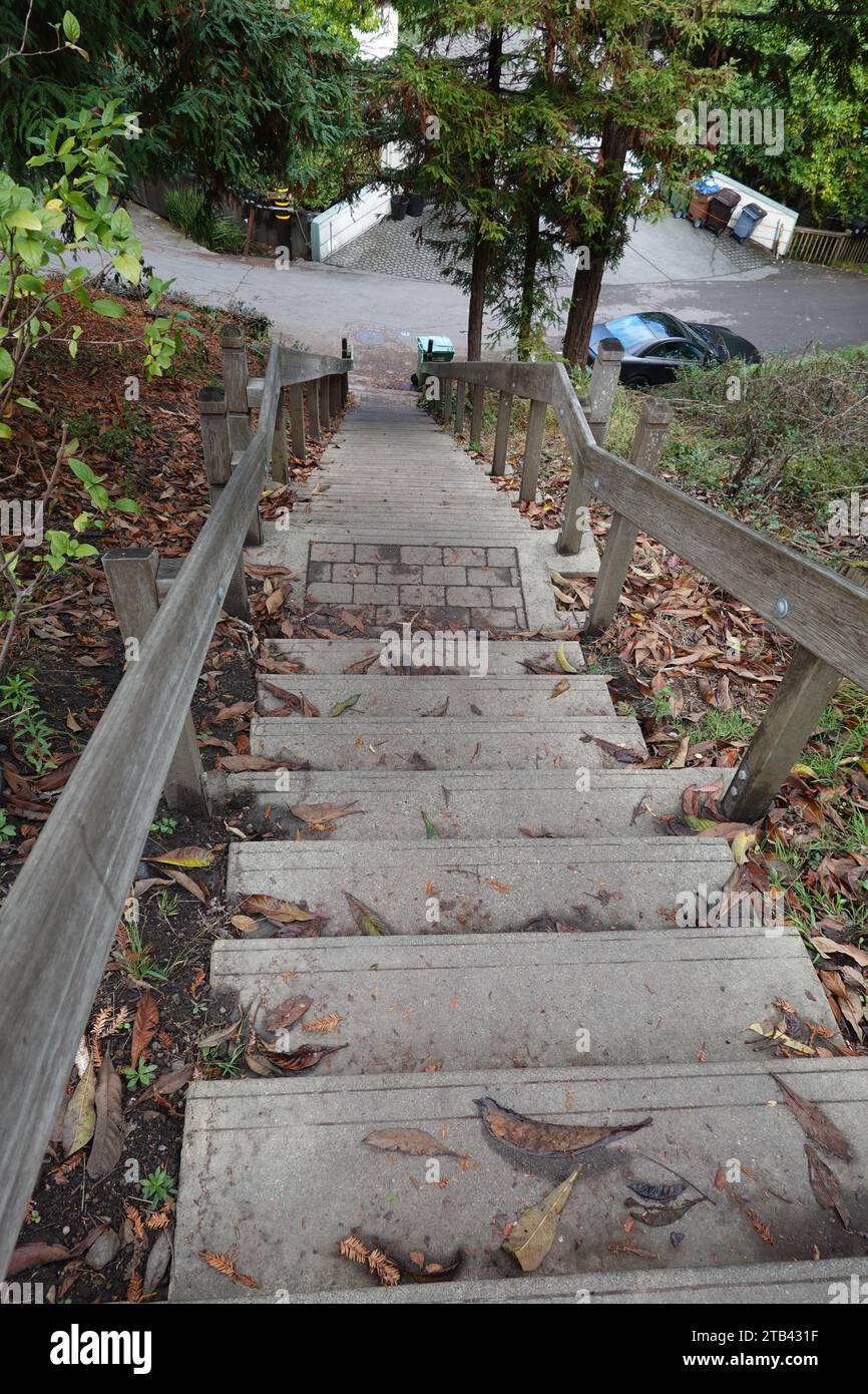 The 670 Dipsea steps at the beginning of the historic trail from Mill