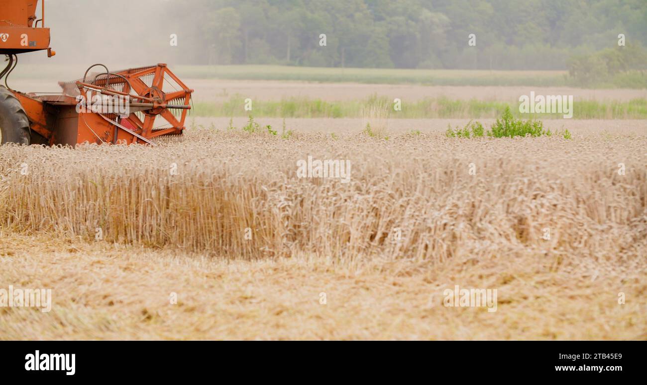 combine harvester harvesting wheat field agriculture Stock Photo - Alamy