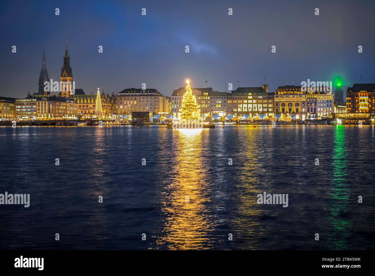 Alstertanne Zur Weihnachtszeit Auf Der Binnenalster In Hamburg ...