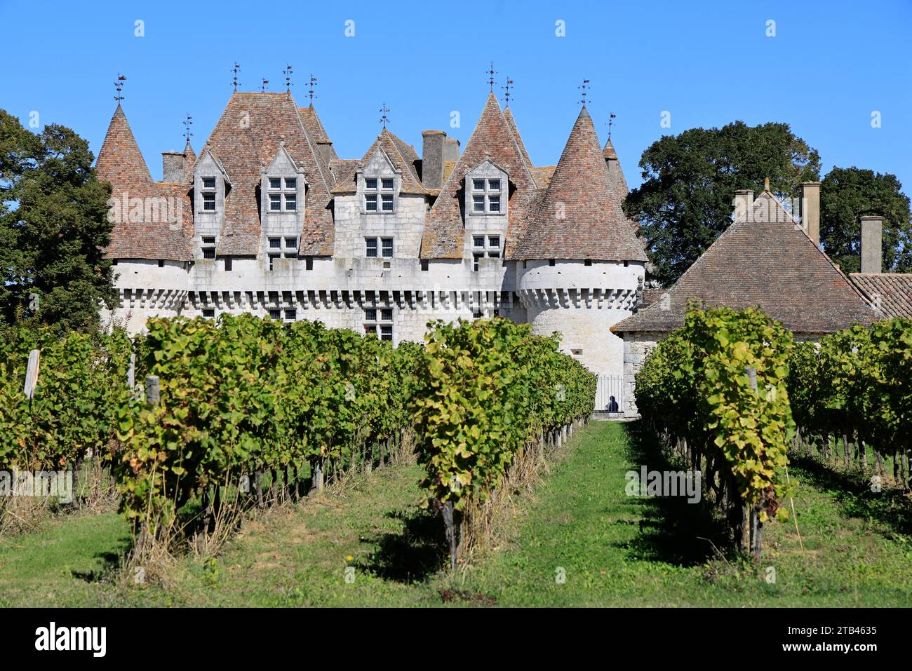 The Château de Monbazillac surrounded by its famous vineyard. Production of sweet white wine. Bergerac vineyard. Monbazillac, Périgord, Dordogne, Fran Stock Photo