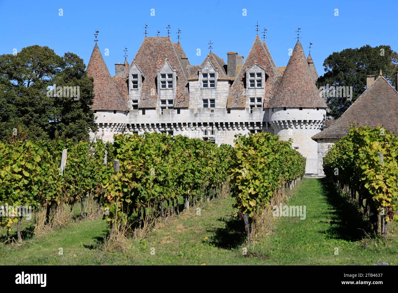 The Château de Monbazillac surrounded by its famous vineyard. Production of sweet white wine. Bergerac vineyard. Monbazillac, Périgord, Dordogne, Fran Stock Photo