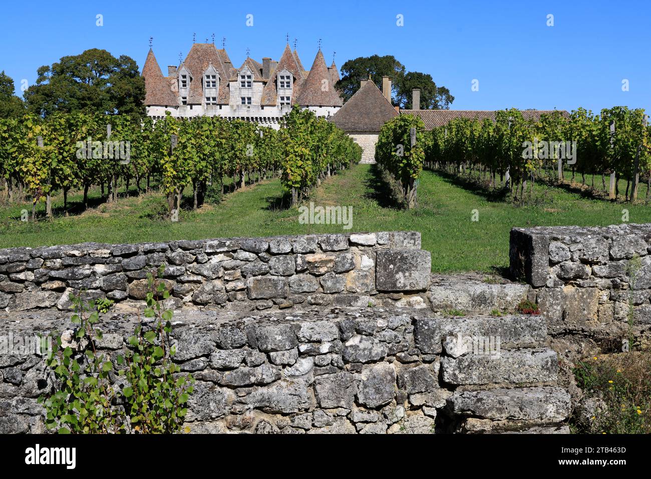 The Château de Monbazillac surrounded by its famous vineyard. Production of sweet white wine. Bergerac vineyard. Monbazillac, Périgord, Dordogne, Fran Stock Photo