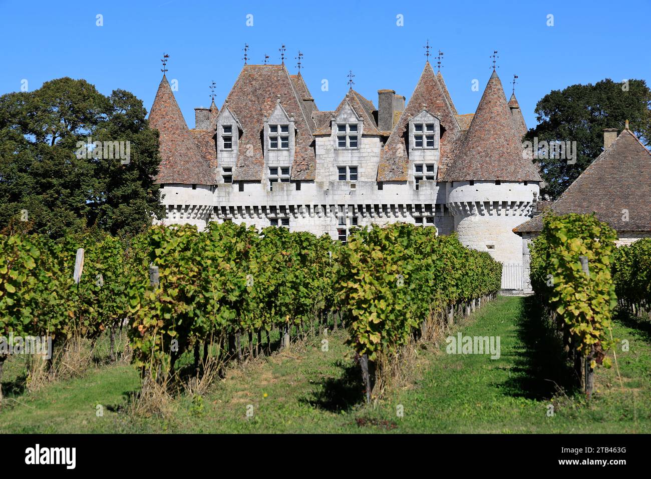 The Château de Monbazillac surrounded by its famous vineyard. Production of sweet white wine. Bergerac vineyard. Monbazillac, Périgord, Dordogne, Fran Stock Photo