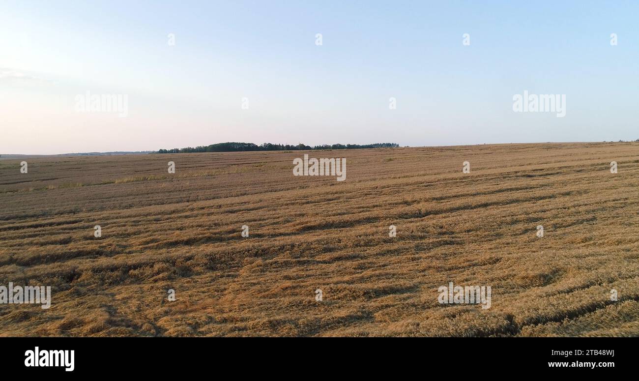 Drone flight sunset over wheat hi-res stock photography and images - Alamy