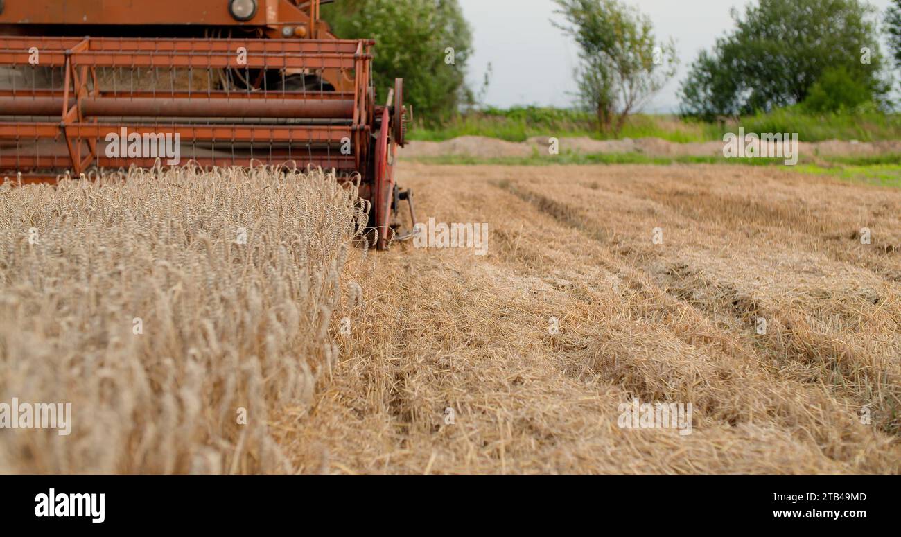 combine harvester harvesting agricultural wheat field Stock Photo - Alamy