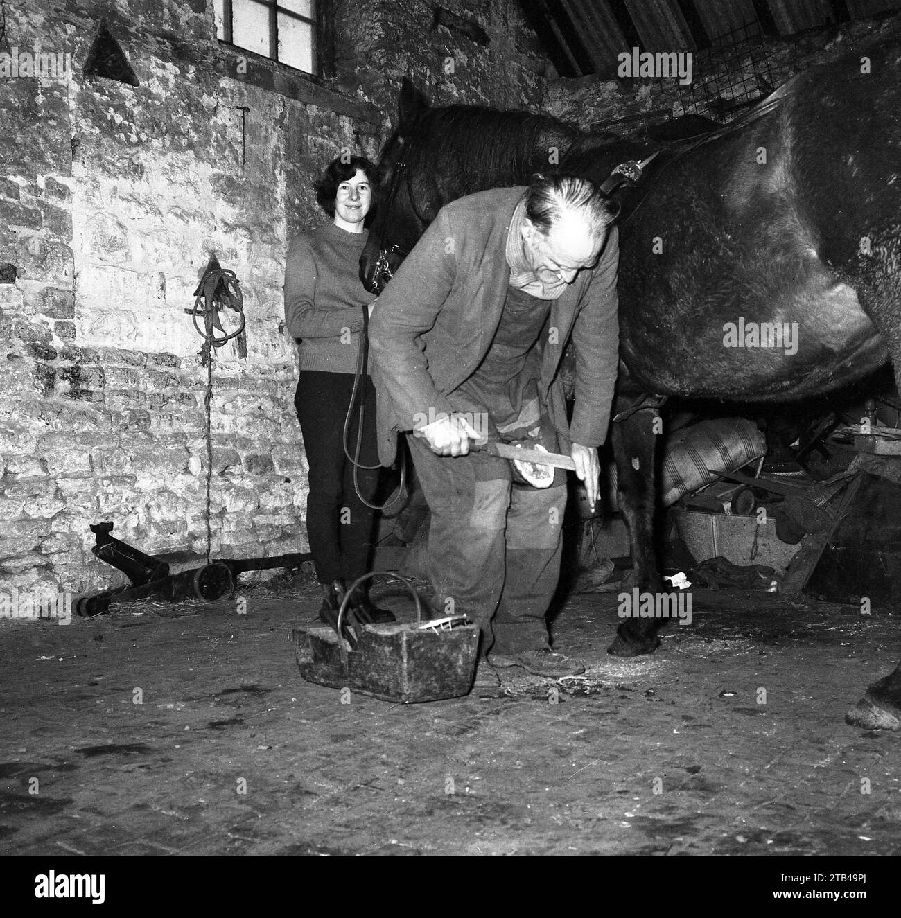 1970s, historical, inside an old stone barn, a farrier shoeing a horse, with a stable girl holding the horse's head, England, UK. A farrier was a specialist artisan in equine hoof care who historically played an important role in the rural economy. Stock Photo